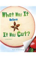 What Was It Before It Was Cut?