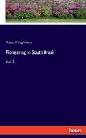 Pioneering in South Brazil