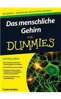 Das menschliche Gehirn fur Dummies