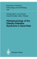 Histophysiology of the Obesity-Diabetes Syndrome in Sand Rats
