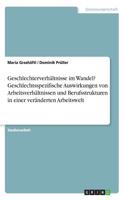 Geschlechterverhältnisse im Wandel? Geschlechtsspezifische Auswirkungen von Arbeitsverhältnissen und Berufsstrukturen in einer veränderten Arbeitswelt