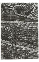 Salgado Notebook Pantanal