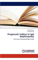 Prognostic Indices in IGA Nephropathy