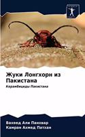 Жуки Лонгхорн из Пакистана