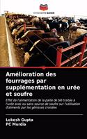 Amélioration des fourrages par supplémentation en urée et soufre