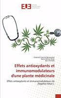 Effets antioxydants et immunomodulateurs d'une plante médicinale