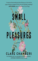 Small Pleasures Lib/E