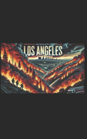 Los Angeles 2025 Fires