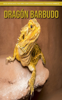 Dragón barbudo - Datos interesantes para niños sobre estos sorprendentes y poderosos animales