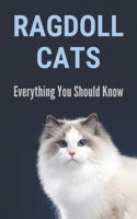 Ragdoll Cats: Everything You Should Know: Speciality About Ragdoll Cats