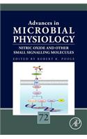 Nitric Oxide and Other Small Signalling Molecules