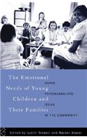 The Emotional Needs of Young Children and Their Families