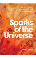 Sparks of the Universe