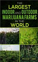Largest Indoor and Outdoor Marijuana Farms in the World
