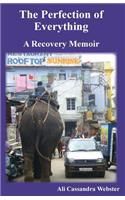 The Perfection of Everything: A Recovery Memoir