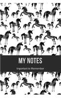 My Notes Important to Remember