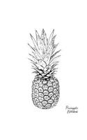 Pineapple Notebook