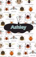 Ashley: Bug Insect Draw and Write Journal Notebook 120 Pages 6x9