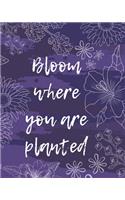 Bloom Where You Are Planted