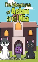 Adventures of Aslan and Nia