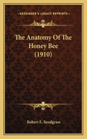 Anatomy Of The Honey Bee (1910)