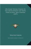 On Some Young Stages In The Development Of Hippa, Porcellana, And Pinnixa (1879)