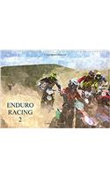 Enduro Racing 2 2017