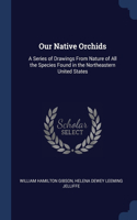 Our Native Orchids