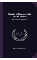 Figures of Characteristic British Fossils: With Descriptive Remarks