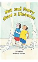 Rigby Flying Colors: Leveled Reader Bookroom Package Orange Nat and Harry Meet a Dinosaur