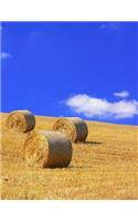 Farming