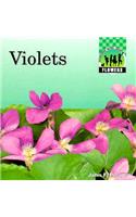 Violets