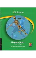 Human Body
