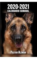 2020-2021 Calendario Semanal Pastor Alemán