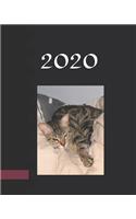 2020 Planner Weekly & Monthly