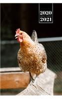 Chicken Hen Chick Farming Farmer Week Planner Weekly Organizer Calendar 2020 / 2021 - Climbing Exercises