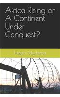 Africa Rising or A Continent Under Conquest?