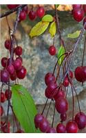 2020 Weekly Planner Autumn Tree Plump Red Berries 134 Pages: 2020 Planners Calendars Organizers Datebooks Appointment Books Agendas