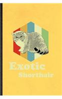 Exotic Sharthair