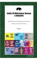 Gollie 20 Milestones: Rescue & Adoption: Gollie Milestones for Memorable Moments, Rescue, Adoption, Socialization & Training Volume 1