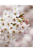 Cherry Blossom Notebook Large Size 8.5 x 11 Ruled 150 Pages Softcover