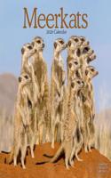 Meerkats Calendar 2020