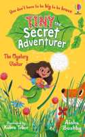 Tiny the Secret Adventurer: The Mystery Visitor