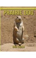 Prairie Dog