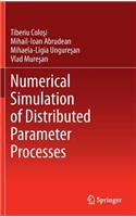 Numerical Simulation of Distributed Parameter Processes