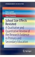 School Size Effects Revisited