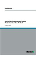 Interkulturelle Kompetenz in einer Multikulturellen Gesellschaft