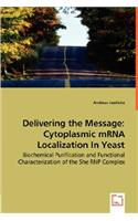 Delivering the Message: Cytoplasmic mRNA Localization In Yeast - Biochemical Purification and Functional Characterization of the She RNP Complex