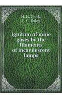 Ignition of Mine Gases by the Filaments of Incandescent Lamps