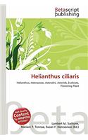 Helianthus Ciliaris: (English)